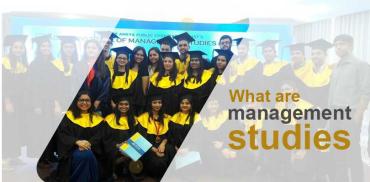 What are management studies?