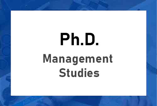 Ph.D. in Management Studies